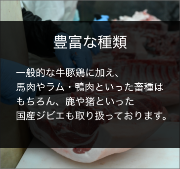 長谷川ミートが選ばれている理由 豊富な種類